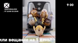Возвращение вещания (15.07.2026)