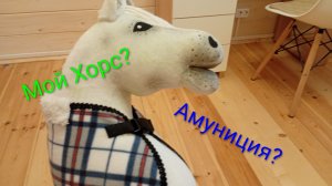 Обзор хоббихорса и его амуниции. Загляните в описание пожалуйста🙏.