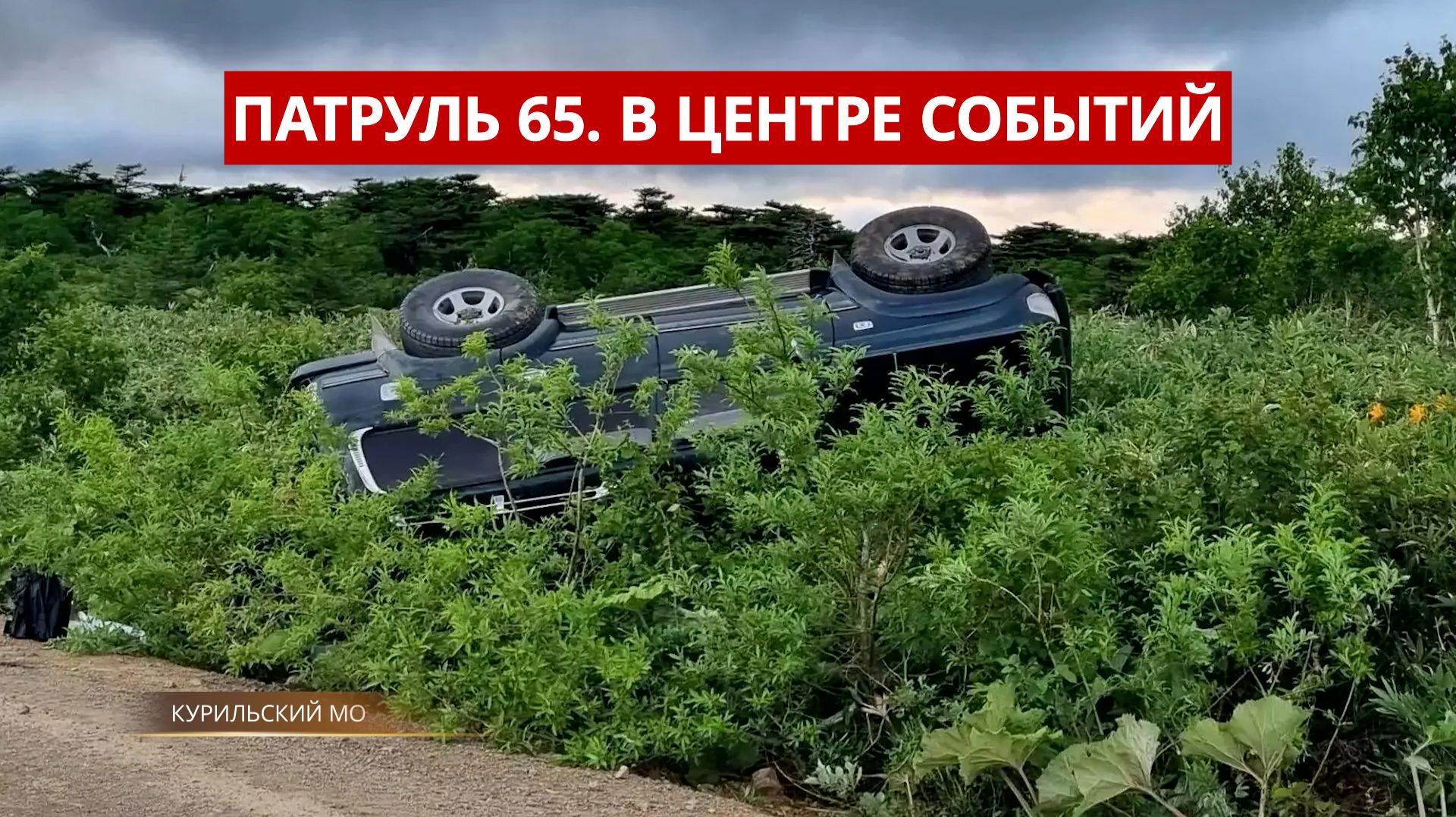 ПАТРУЛЬ 65. Поиски пенсионера, подпольная икра и гадюка на детской площадке. Сахалин 15.07.26