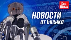 БАСО-НОВОСТИ | рекорды котов Басиков