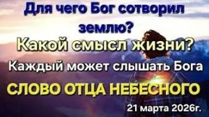 «Какой смысл жизни?», «Для чего сотворена Земля?», «Каждый может слышать Бога» — Отец Небесный