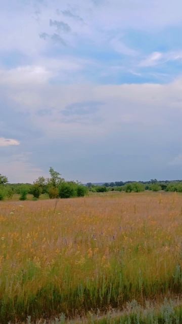 Сура . Лунинский район. смотреть онлайн
