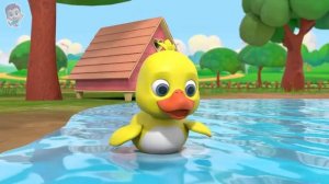 Five Little Ducks Go Swimming