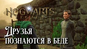 Друзья познаются в беде. Hogwarts Legacy прохождение. A Friend in Deed