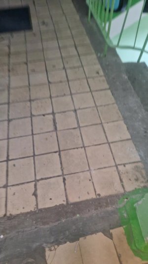 СТРИМ ЛЕОВА