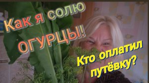 СОЛЮ ОГУРЦЫ/КТО ОПЛАТИЛ ПУТЁВКУ В ТУРЦИЮ!?🪙🪙🪙