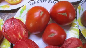Томат Стейк Канту - крупный, мясистый, сахаристый «ИТАЛЬЯНЕЦ». №283. Дегустация 2026.
