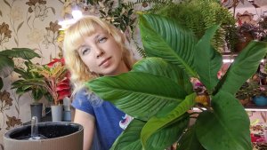 Посадка растений в кокосовый и минеральный грунт, тестирую новое удобрение