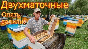 ДВУХМАТОЧНЫЕ ОПЯТЬ ВСЁ ЗАЛИЛИ! КАРНИКА, Ставим ещё магазины!