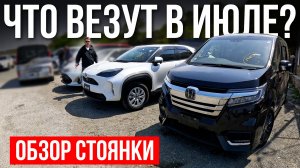 Почему авто из Японии выгодно покупать именно сейчас? Обзор свежего привоза