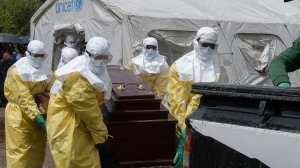 Более 700 человек погибли от Эболы в Конго. Вирус продолжает распространяться по Республике