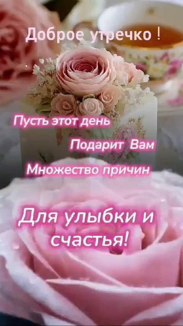 1000006391.mp4 смотреть онлайн