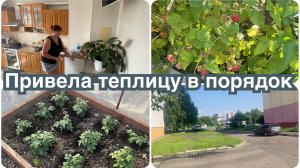 Навожу порядок на кухне и болтаю. Навела в теплице порядок. Первая малина.