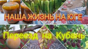 Собираем урожай/ Лечо/Маринованные огурчики/ Картина готова/ Наша жизнь на юге/ Переезд на Кубань/