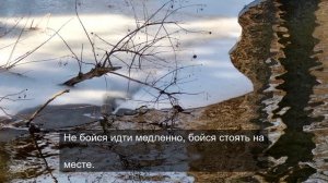 «Слова и образы: гармония красоты»