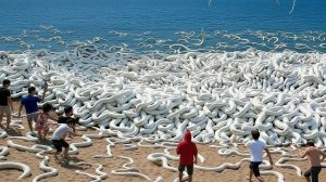85 удивительных явлений, происходящих прямо сейчас по всему миру
