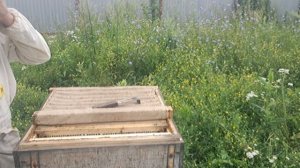 Был ли рой в 4 кг или не был?