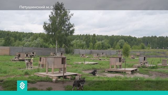 «Дом северной собаки» готовится стать большим туристическим центром