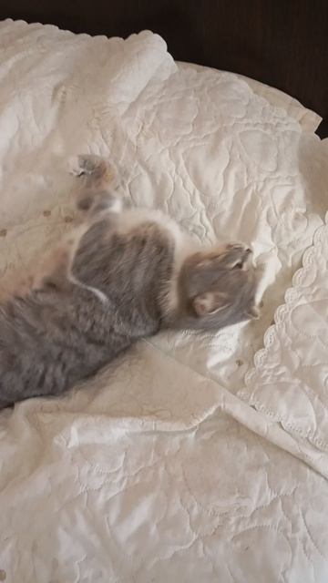 Глубокий сон, всё включено