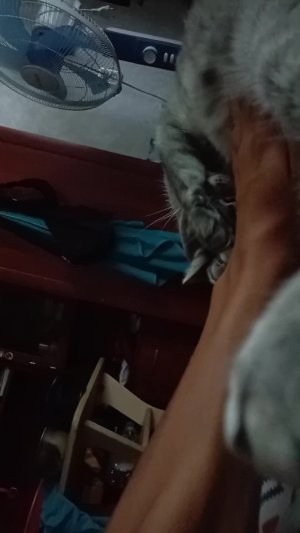 просто разговор