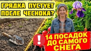 Забытые ПОСЕВЫ ИЮЛЯ! 14 культур дадут урожай до самого снега!