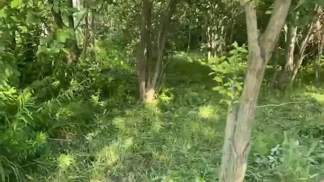 горки Ленинские участок 9,6 соток 13 км от мкад