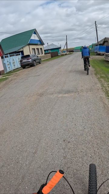 День общительных баранов #велопоездка #велосипед #Тюмень