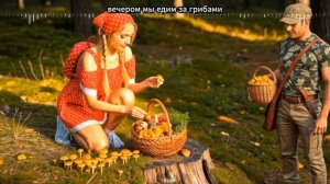 Вечером мы едем за грибами