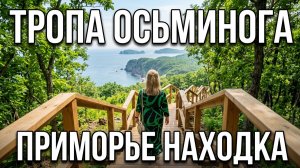 Тропа Осьминога/Новая экотропа в Приморье, о которой мало кто знает/Секретная локация в Находке