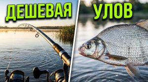 Рыбалка ЛОВЛЯ ЛЕЩА! ТЕСТ-ОБЗОР ДОНКА-ТЕЛЕСКОП-ФИДЕР
