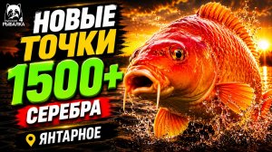 🤑 НОВЫЕ ТОЧКИ для ФАРМА РР4! 1500+ Фарм СЕРЕБРА в Русской Рыбалке 4! ЯНТАРНОЕ