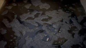 зарыбление водоёма