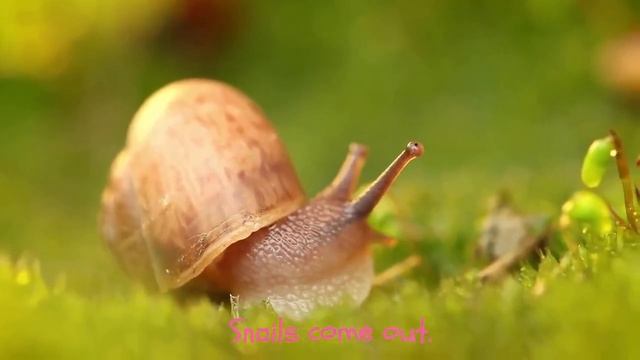 What_happens_in_spring смотреть онлайн