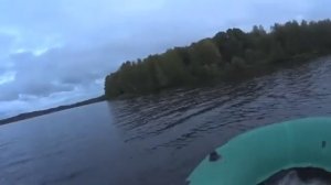 ПОСТАВИЛ СЕТКУ У РЫБЗАВОДА! ЧТО СПОЙМАЮ ИНТЕРЕСНО?