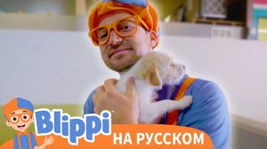 Песня Мы Заботимся О Домашних Животных _ Блиппи на Русском _ Изучай этот Мир вместе