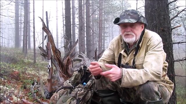 ЛЕС и ТАЙГА. Настало время воспоминаний.