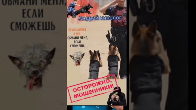 На манеже все те-же 404 смотреть онлайн