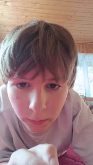 дача снова