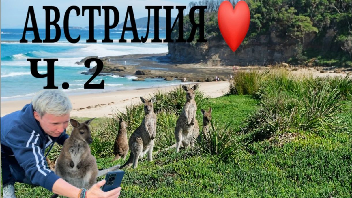 Австралия ❤️ часть 2 смотреть онлайн