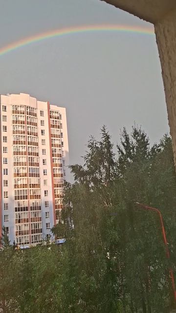 Котик😼 дождик🌧 и радуга🌈