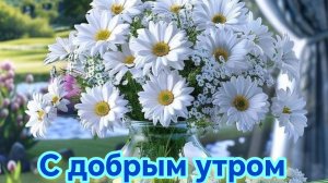 С добрым летним  утром . Роскошная музыкальная открытка.