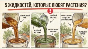 Даже мёртвые растения возвращаются к ЖИЗНИ! 5 натуральных «чудо-удобрений», которые работают!