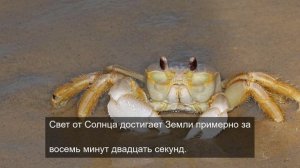 «Красота текста: каллиграфия на красивом фоне»