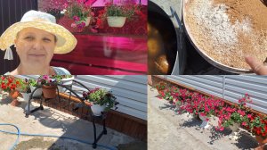 15-07-2026 Управляюсь в обед.Обед приготовила. Овода напали на корову.Жара☀️