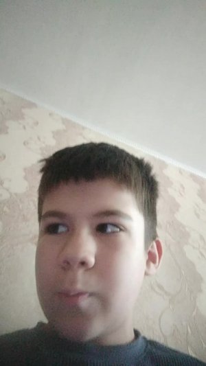 прохождение больница для животных