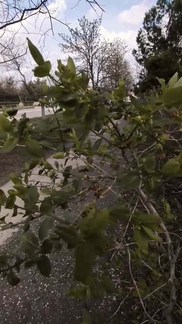 Вот такой день в городе Евпатория | 12 апреля 2022 год | Крым | ХАН БАТОН | VID_20220412_142929 -Р
