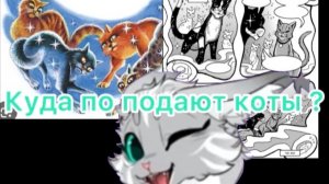 Всё о загробных мирах в Котах Воителях !