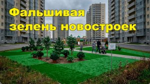 «Фальшивая зелень новостроек» «Открытая Политика» 15.07.26
