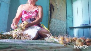 ОБМАН НА ВБ,УРОЖАЙ ЛУКА НА ДАЧЕ, МАМА ОЧЕНЬ БЛАГОДАРНА ВАМ