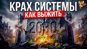 Крах системы. Главные шаги. Как выжить к 2030 году?